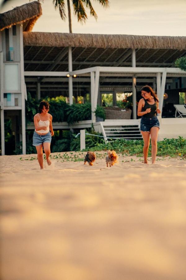 Beach Houses Moitas Amontada المظهر الخارجي الصورة